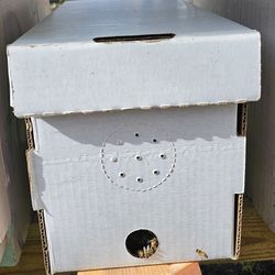 Bee Nucs $185