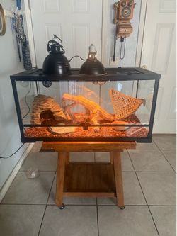 Reptile/Terrarium/Aquarium 50 gallons front opening tank with full set up ( no animals included ) ( have more tanks available) *** Great condition ***