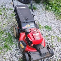 Tb230 Self-Propelled Lawn Mower 