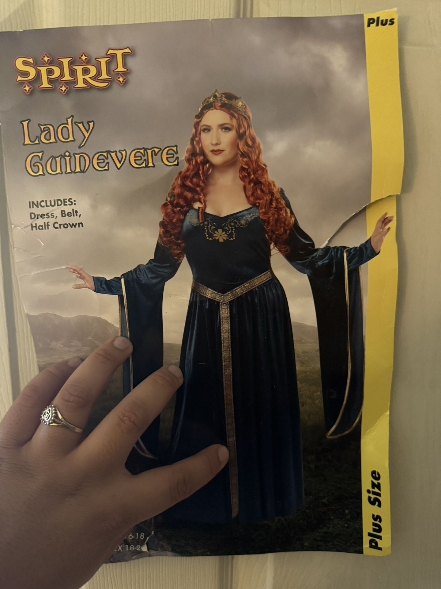 Plus Size Halloween Costumes(medieval Princess )