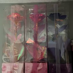 led roses 