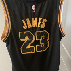 LeBron James Snakeskin Jersey XL