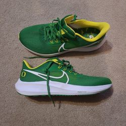 Nike Pegasus 41, Oregon Ducks, Oregon