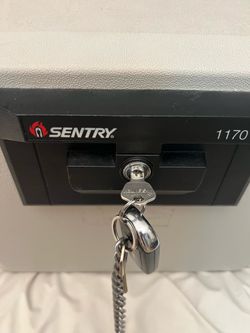 Sentry safe large size