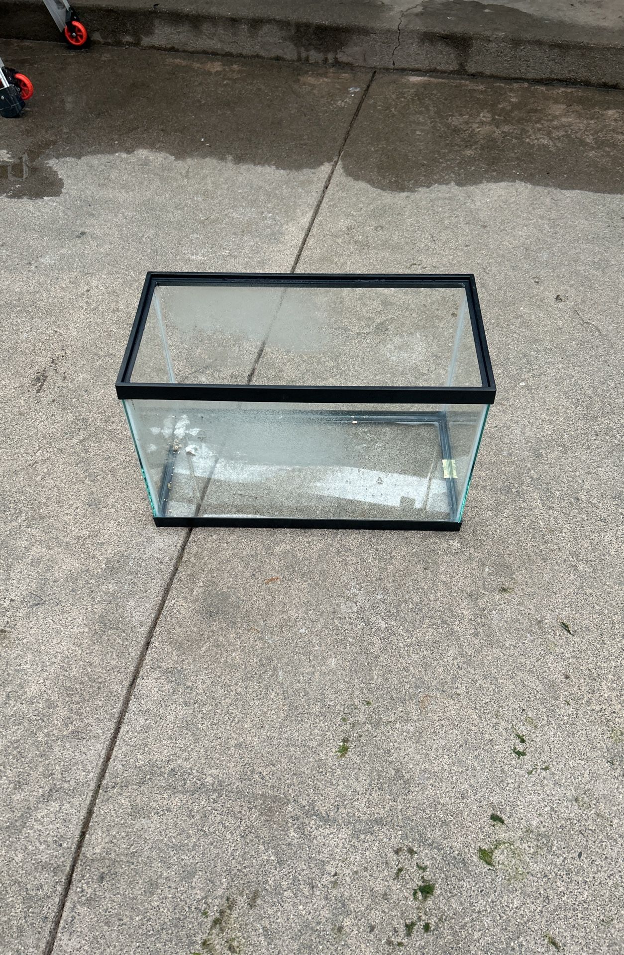 Fish Tank Aquarium 