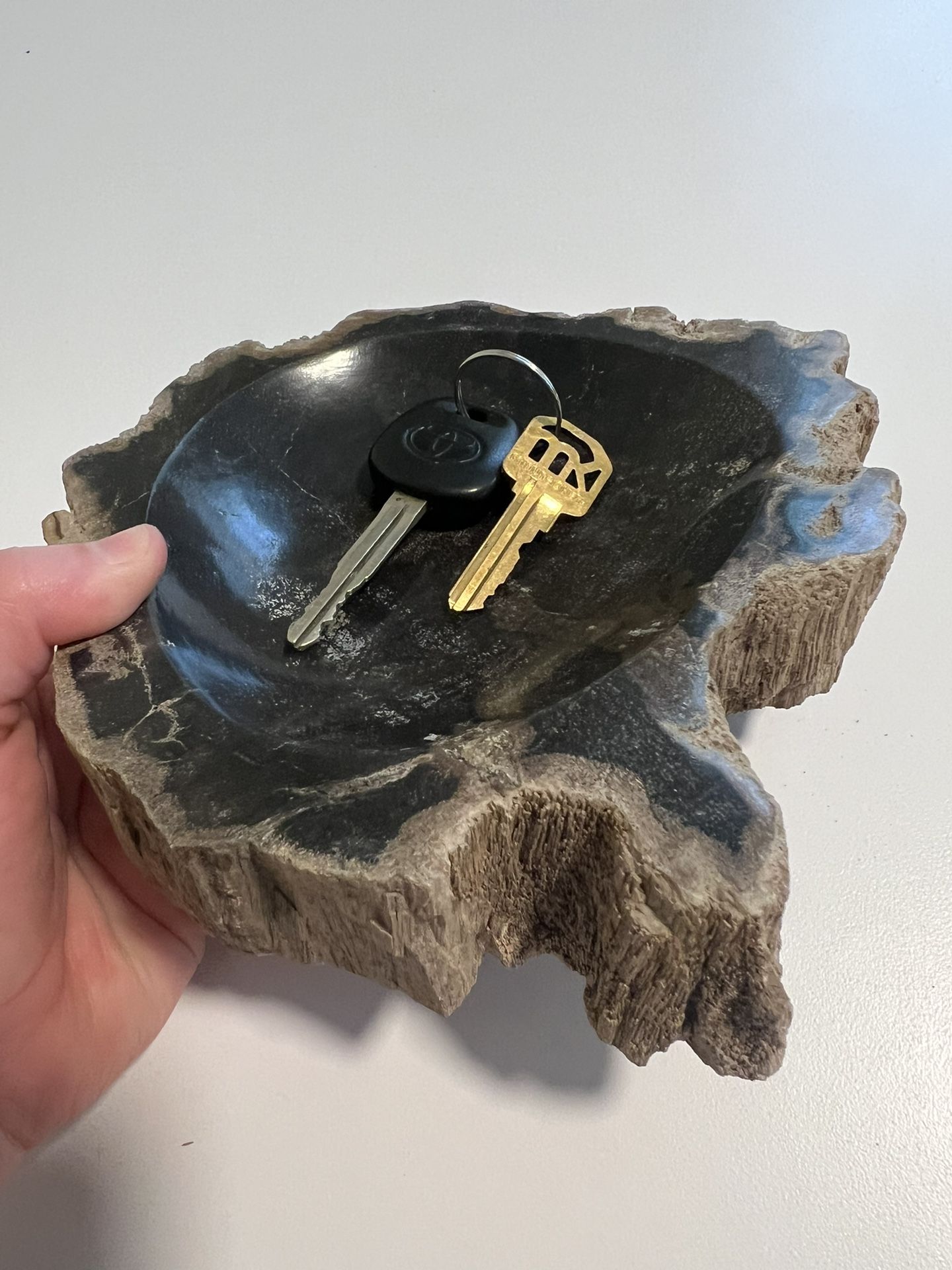 Petrified Wood Bowl