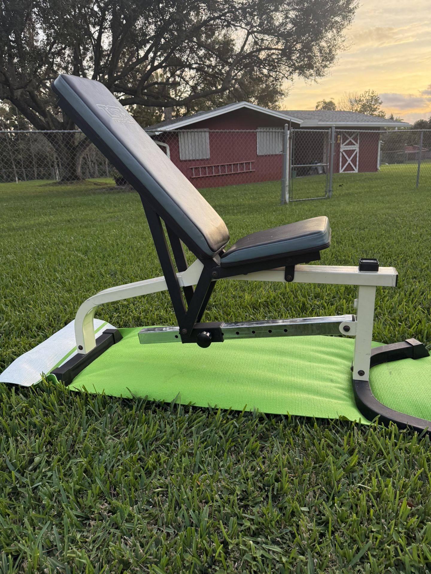 True FID Fully Adjustable Heavy Duty Weight Bench 
