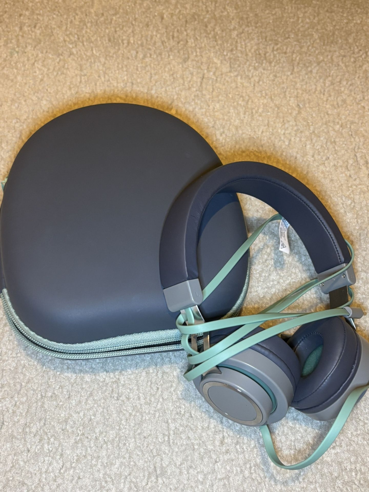 Headphone With Case 