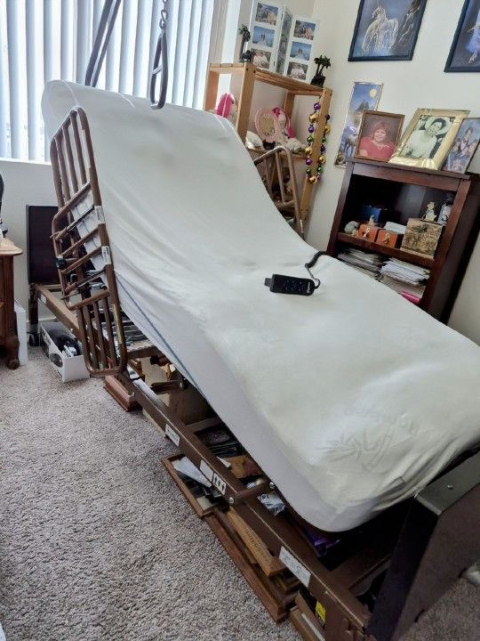 Electric Twin Bed