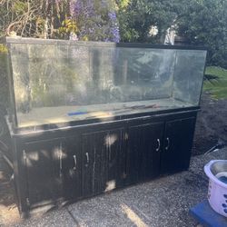180 GALLON FISH TANK - $300 w Protein Skimmer & 1 Pump