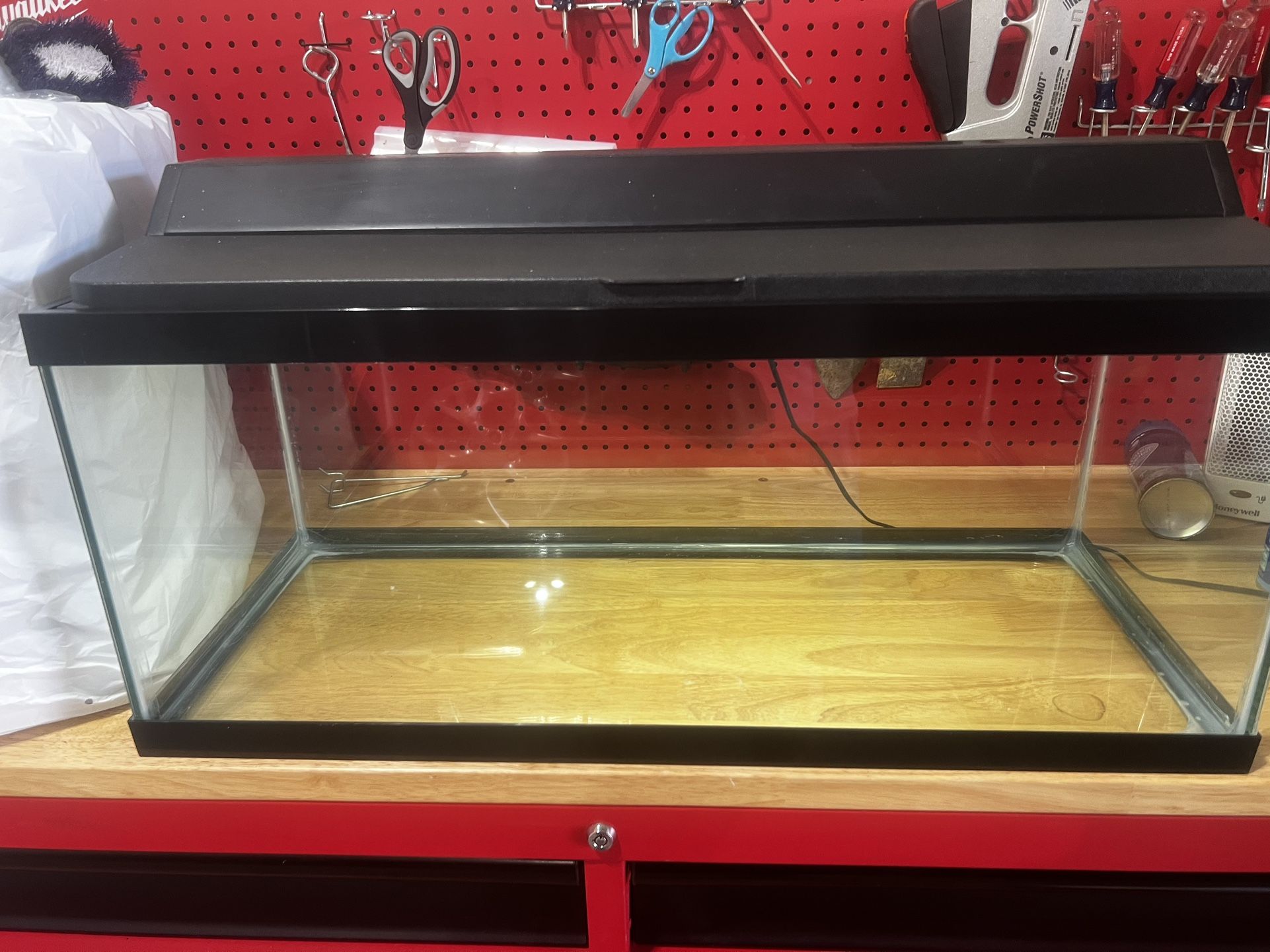 Fish Tank