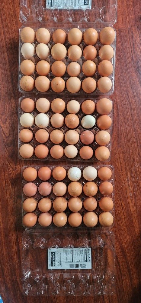 Six Dozen Eggs