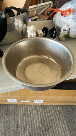 Dog Bowl