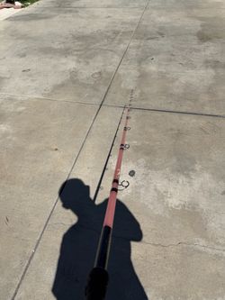 Seeker rods