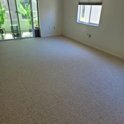 Carpet For Sale
