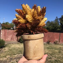 Faux Autumn Plant 