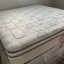 New King  Mattress And Box Springs Bed Frame Is Not Included 