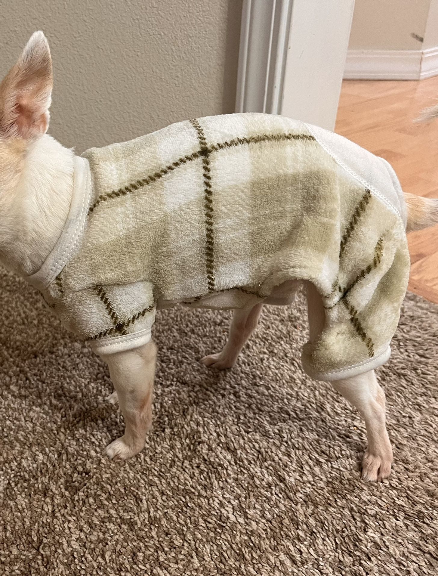 Little Dog Clothes XS