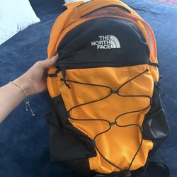 The North face Backpack 