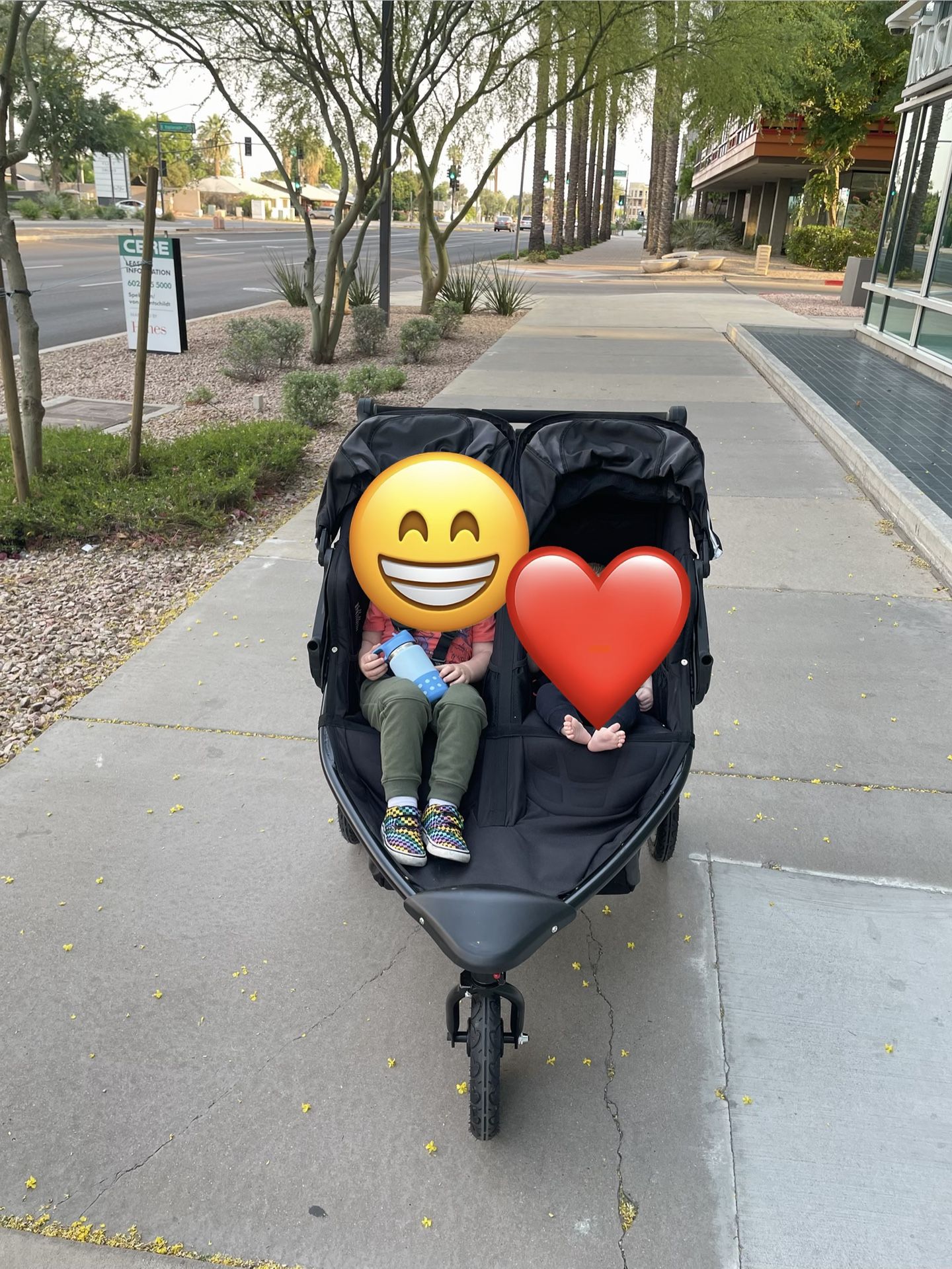 Bob Double Running Stroller