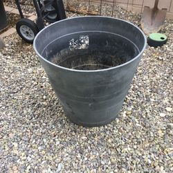 Plant or tree containers