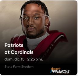 NE Patriots @ AZ Cardinals | Week 15