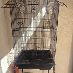 Bird Cage