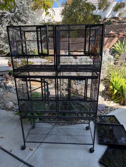 bird cages