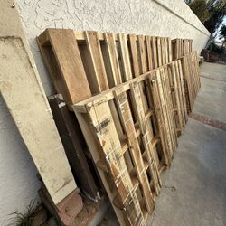 Wood Pallets 