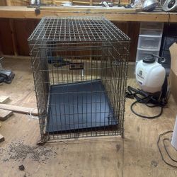 Dog Kennels