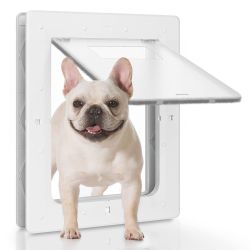 Dog Door for Walls with Attached Magnets