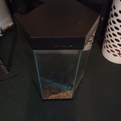 30 Gallon Tank With Filter 