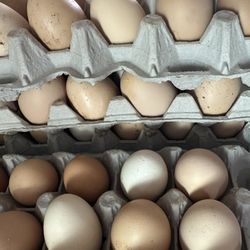 Fresh Eggs / huevos frescos / Flan Cake 