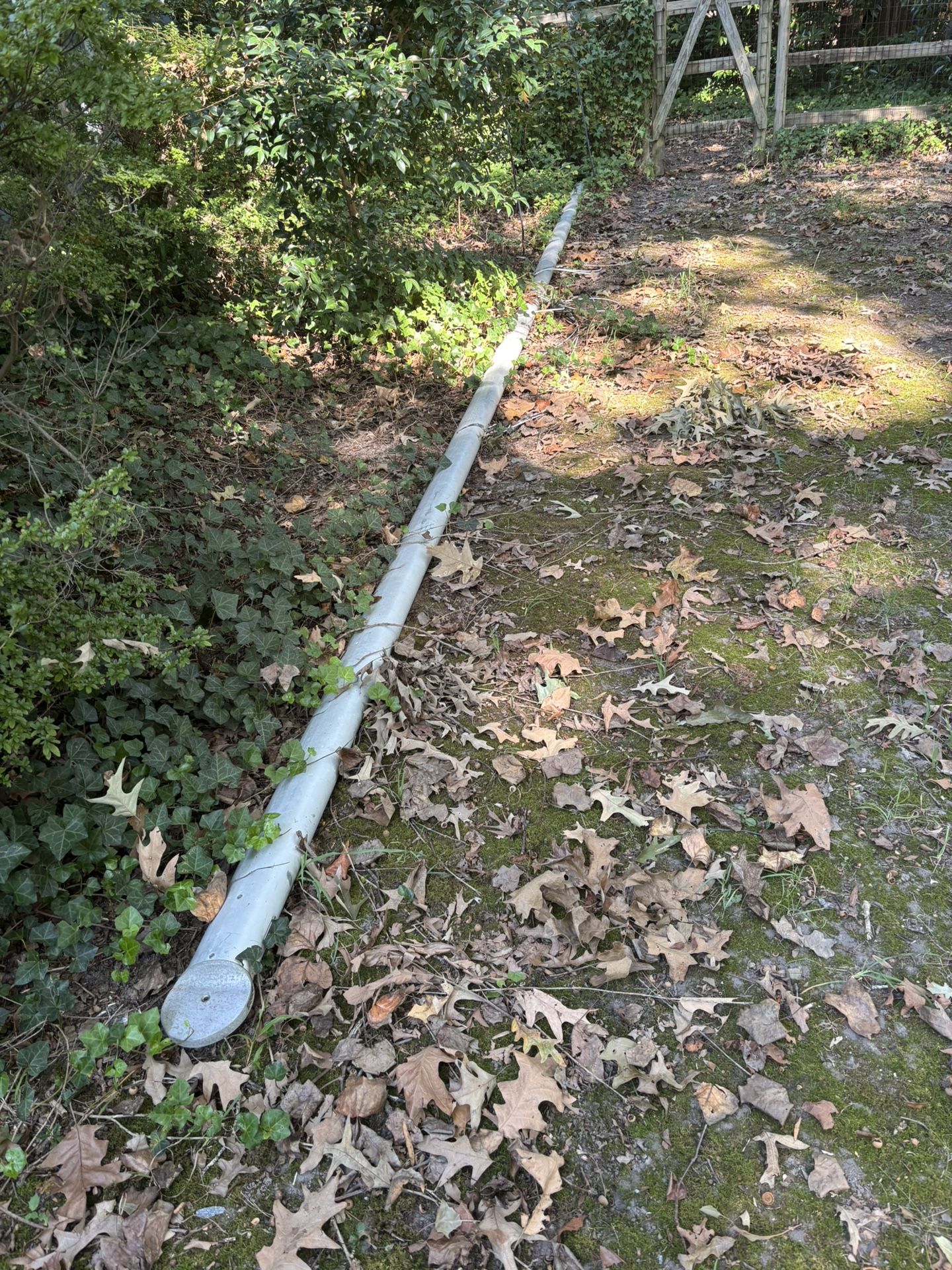 Hobie Cat 16’ Mast