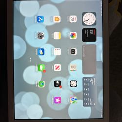 Apple iPad