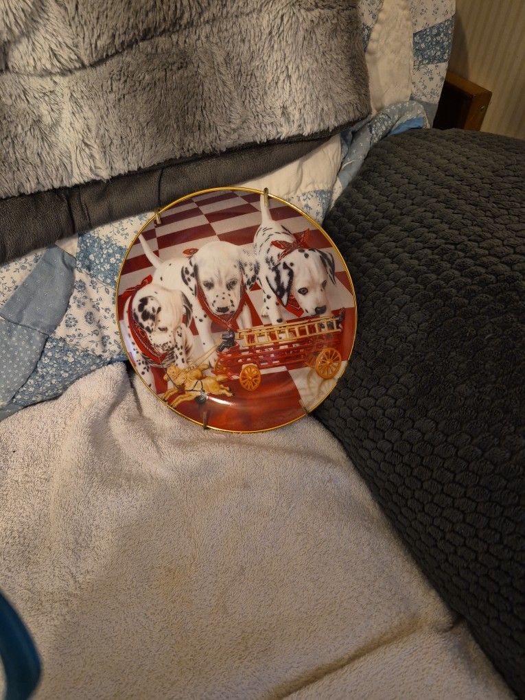 This Is A Collection Plate. On The Back Said Puppy Brigade. 