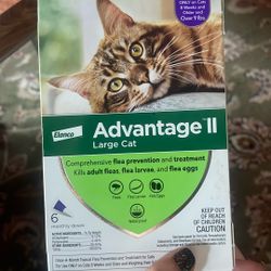 Cat Flea Treatment 