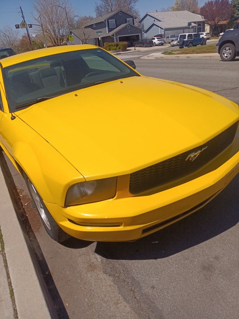 Ford MUSTANG ! 162,000 Miles On It