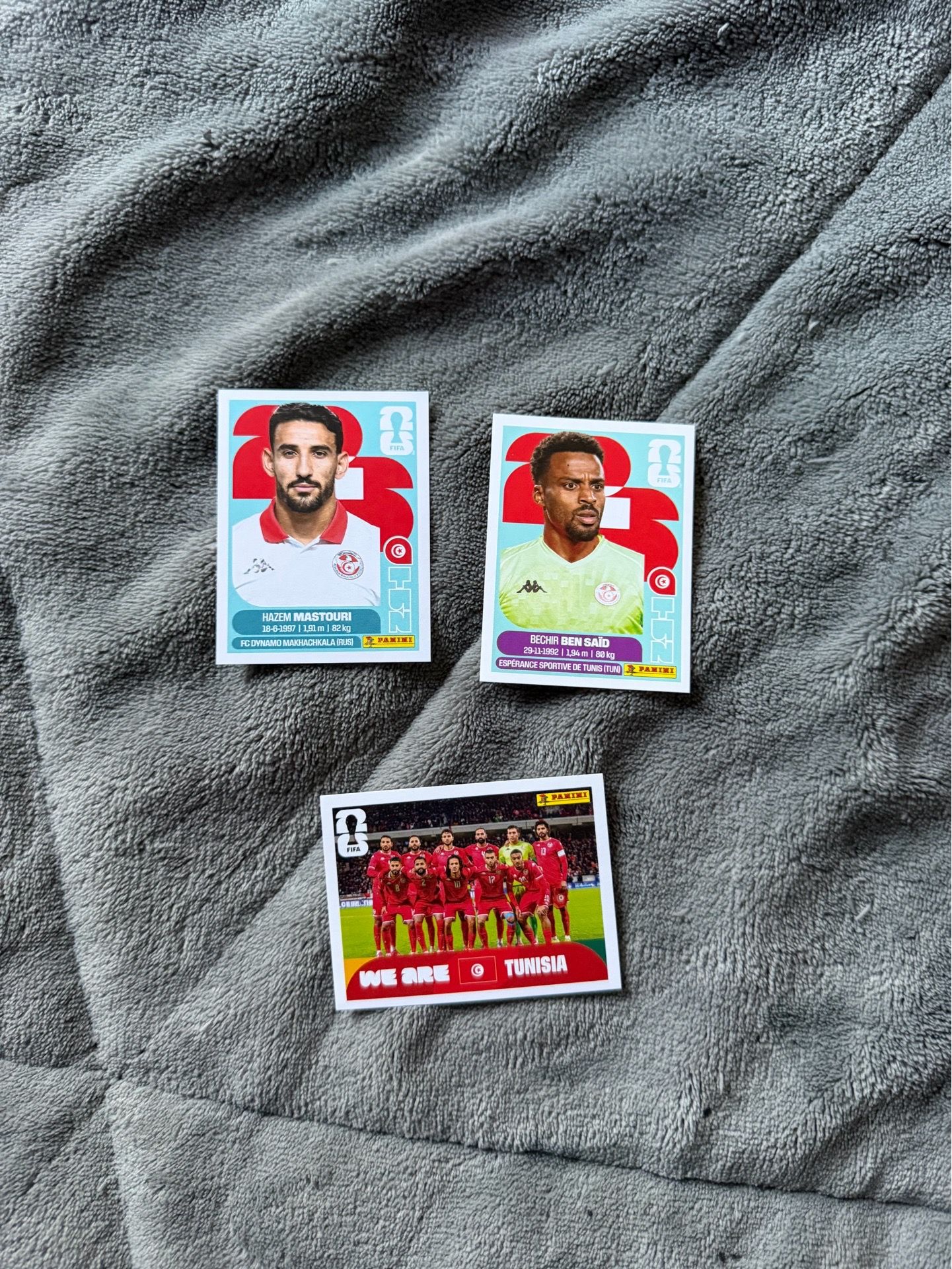 Tunisia stickers