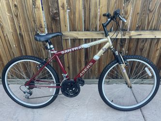 San Francisco 49ers Custom Bike 26 Inch 