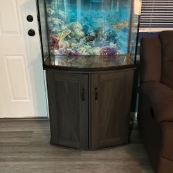 Fish Tank with Stand for Sale – ( 30 G ) 