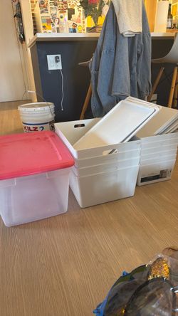 Storage containers with lids