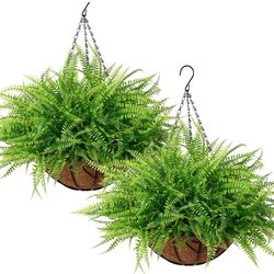 E Artificial Hanging Plants with Basket 2PCS Fake Boston Fern Baskets, Outdoor Faux Greenery Stems Hanging Decor UV Resistant Indoor Outside Decoratio
