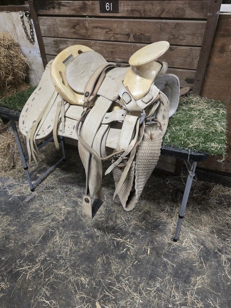 Saddle