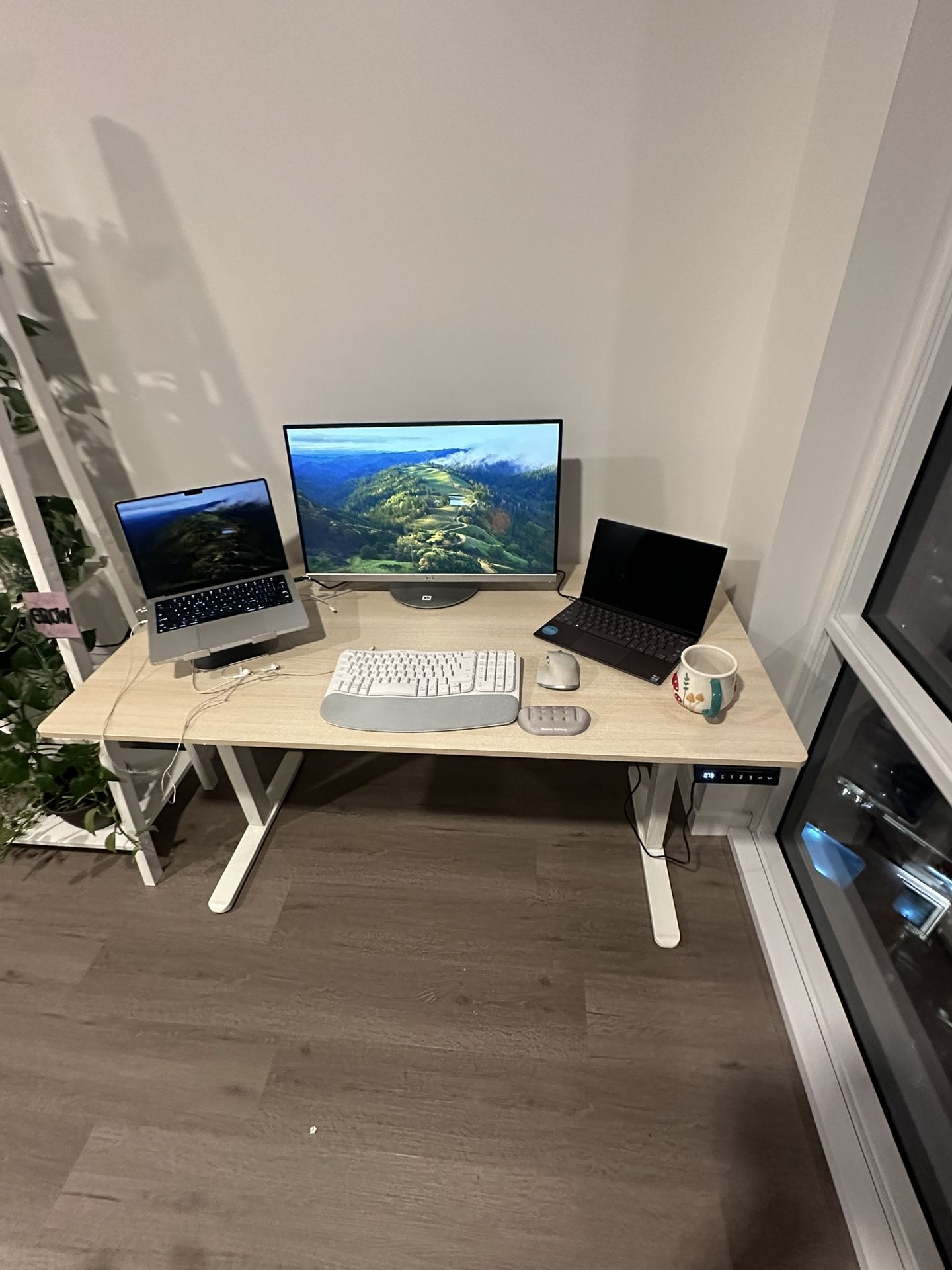 Electric Standing desk - 55 “ Natural Color(Less than 7 Months Old)