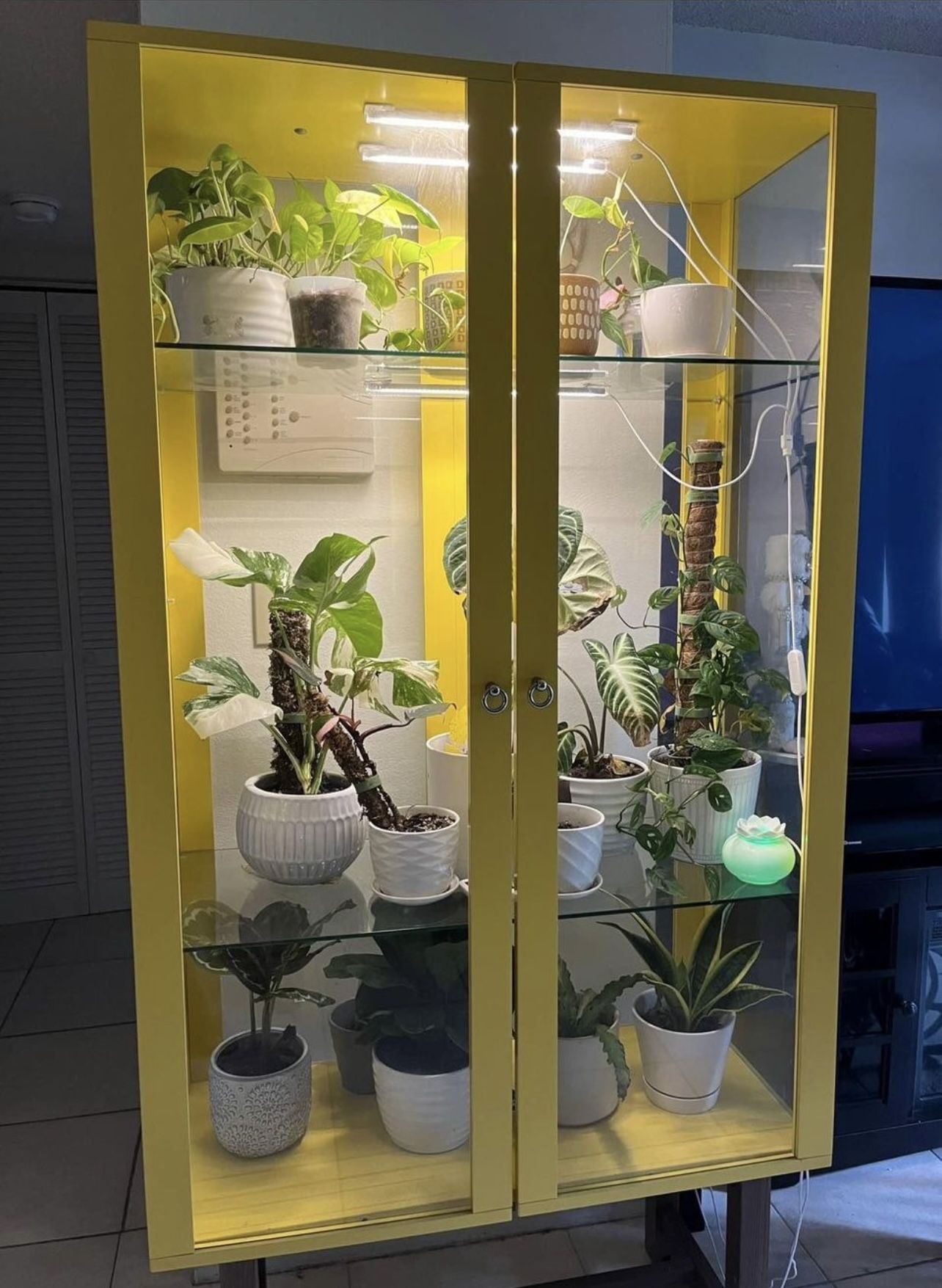 IKEA Glass Cabinet