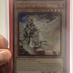 Fallen Of The White & Ecclesia And The Dark Dragon