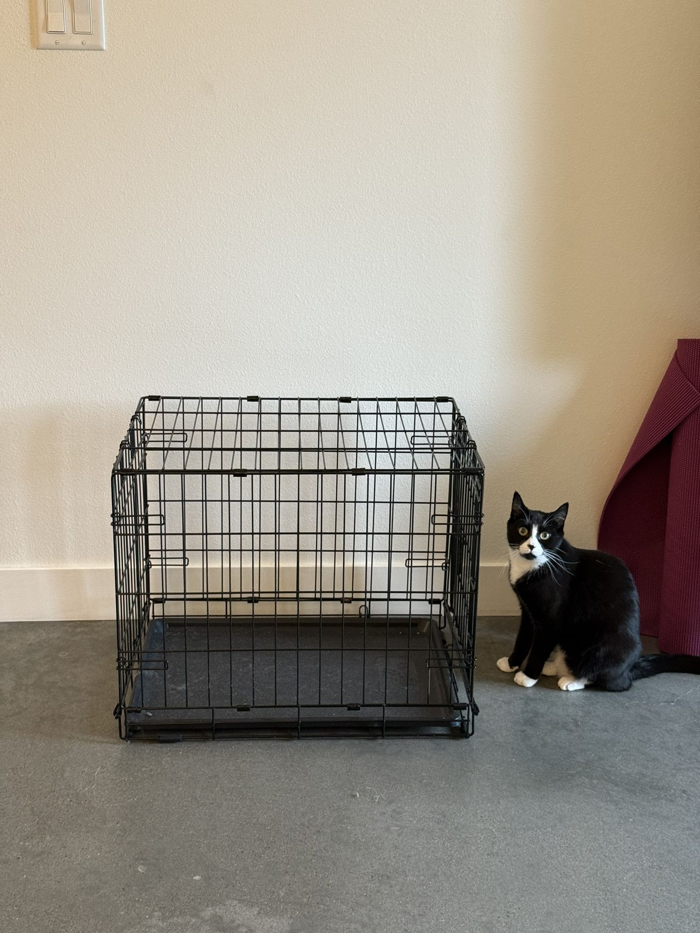 Dog Crate
