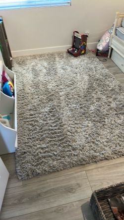 Pottery barn, shag rug