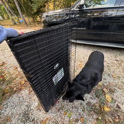 XL Dog Crate